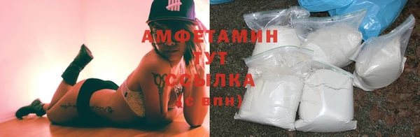шишки Балабаново