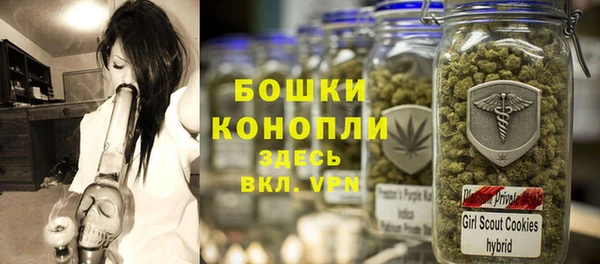 шишки Балабаново