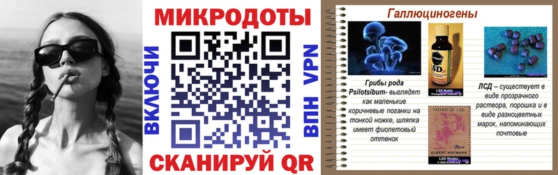 сайты даркнета состав наркота Черняховск Псилоцибиновые грибы мицелий OMG зеркало