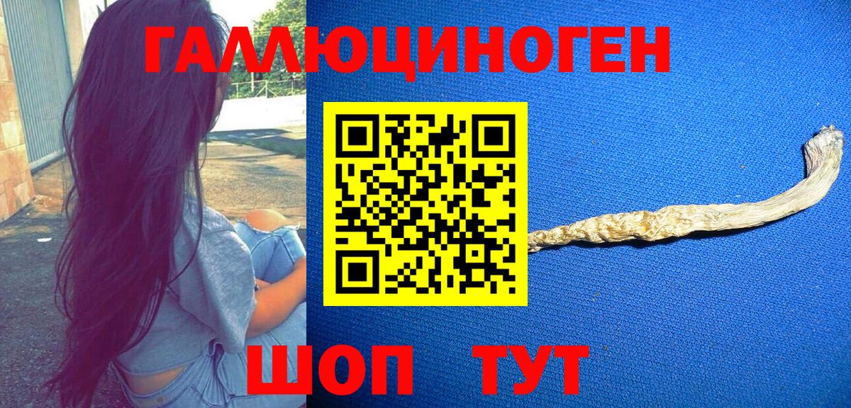 Галлюциногенные грибы GOLDEN TEACHER  Вход с VPN  Черняховск 